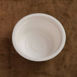 環保新選擇12560F L026紙漿碗350ml一次性餐具的重新思考